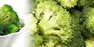 Fresh Broccoli