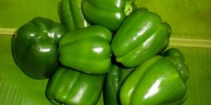 Fresh Green Capsicum