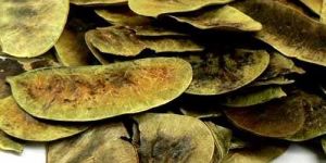 Senna Pods