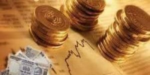 Agriculture Project Finance Services