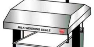 Electronic Milk Weighing Scale