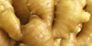 Fresh Ginger