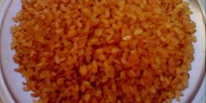 Rose Matta Rice