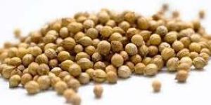 Coriander Seeds