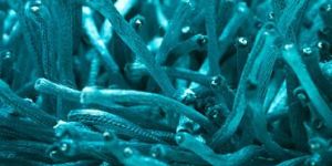 Indian Handmade Polyester Silk Shaggy Carpets Rugs