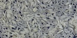 White Rice