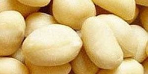 Blanched Peanuts Kernels
