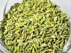 Fennel Seeds