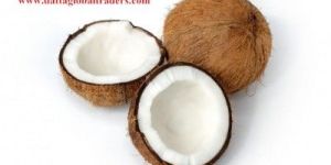 Coconut