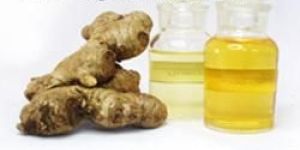 Ginger Oil