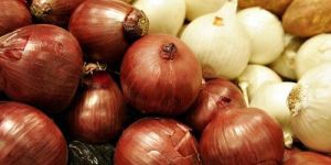 Onion
