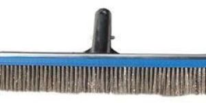 Algae Stainless Steel Brush