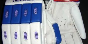 Wicket Keeping Gloves