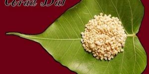 Urad Dal Without Skin