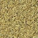 White Cumin Seeds (Zeera)