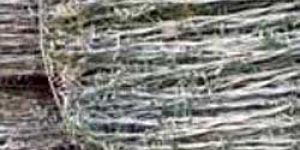 Galvanized Barbed Wire