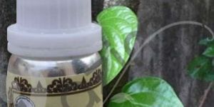 Betel Leaf Oil