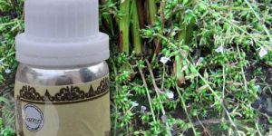 Cardamom Seed Oil
