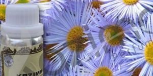 Chamomile (Blue) Oil