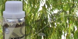 Citriodora Oil