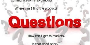 Business Interpreter Services