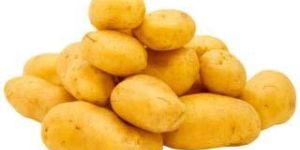Fresh Potato
