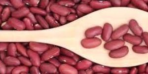 Red Kidney Beans
