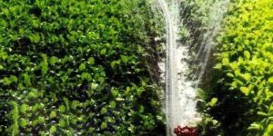 Sprinkler Soaker Hose