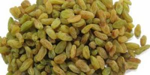 Green Raisin