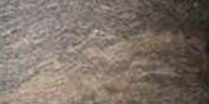 Bash Paradiso Granite Stone