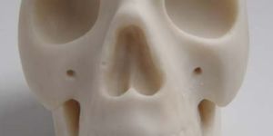 Marble Skull