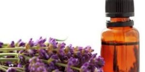 Lavender Oil