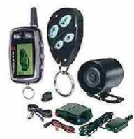 Electronic Security Systems