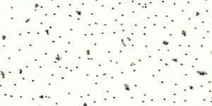 Acoustic Mineral Fiber Ceiling Tile