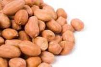 Groundnut