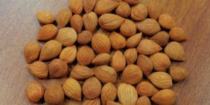 Bitter Apricot Kernals