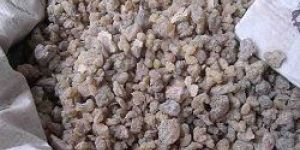 Boswellia Serrate Extract