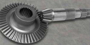Bevel Gear