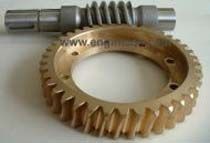 Worm & Worm Wheel Gear