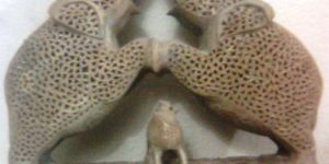 Pairing Fighter Elephant