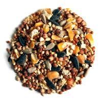 Wild Bird Food