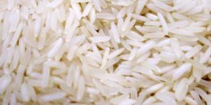 Polished Rice