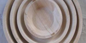 Areca Leaf Plates