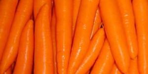 Fresh Carrots