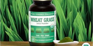 Wheatgrass Powder