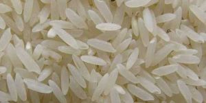 White Rice