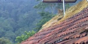 Off Grid Solar System