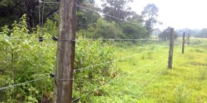 Solar Fencing Systems
