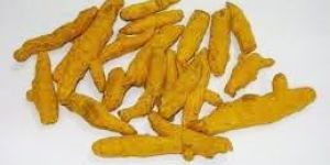 Turmeric Fingers