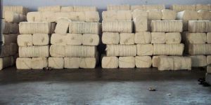 Cotton Bales